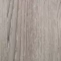 Pilkas ąžuolas